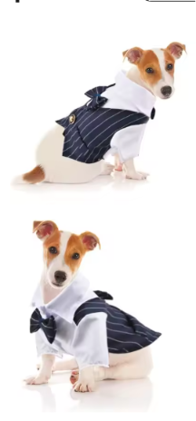 The Noble Stripe Suit — Luxury Dog Tuxedo