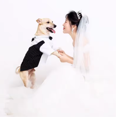 The Noble Stripe Suit — Luxury Dog Tuxedo
