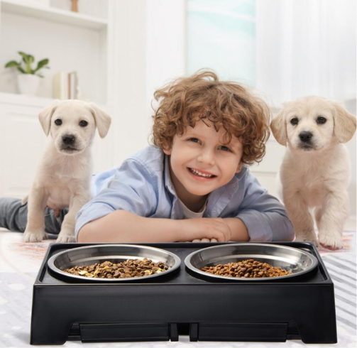 The Noble Elevated Bowl — Adjustable Raised Dog Feeding Station