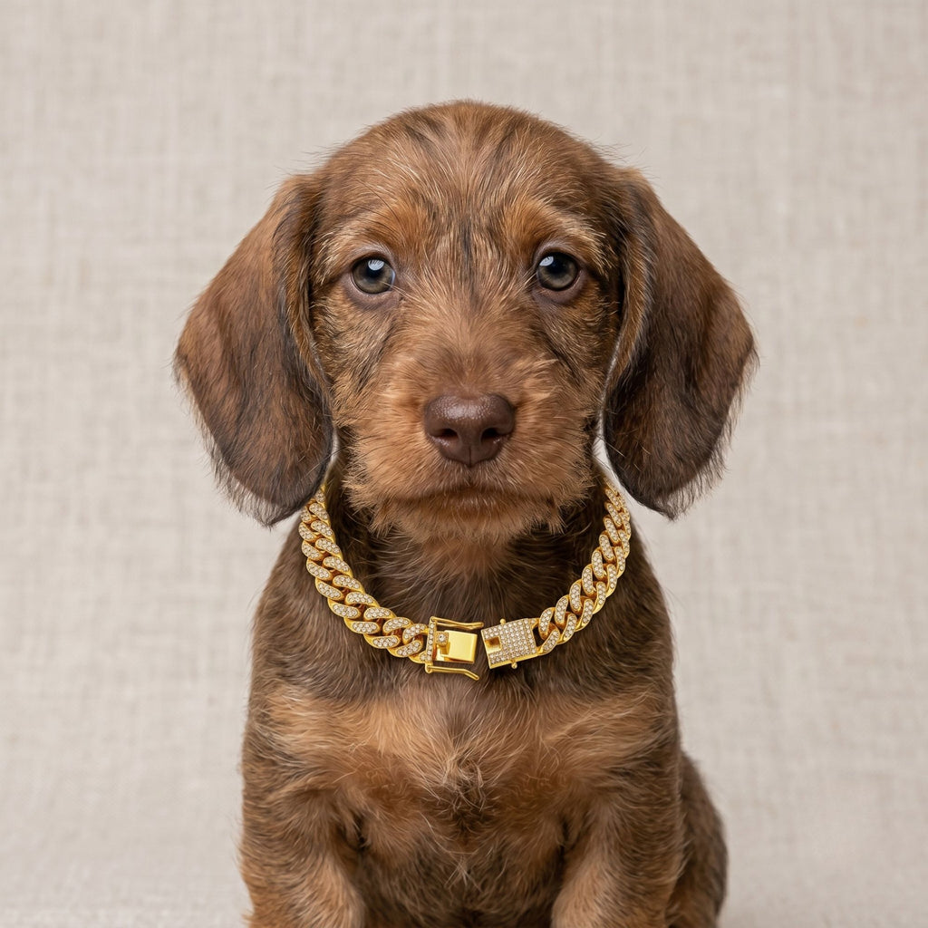 Luxury Diamond Cuban Link Dog Collar – Gold & Silver