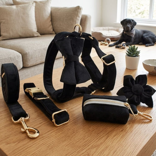 Dog Collar & Accessories Set | Bow, Leash, Harness & More