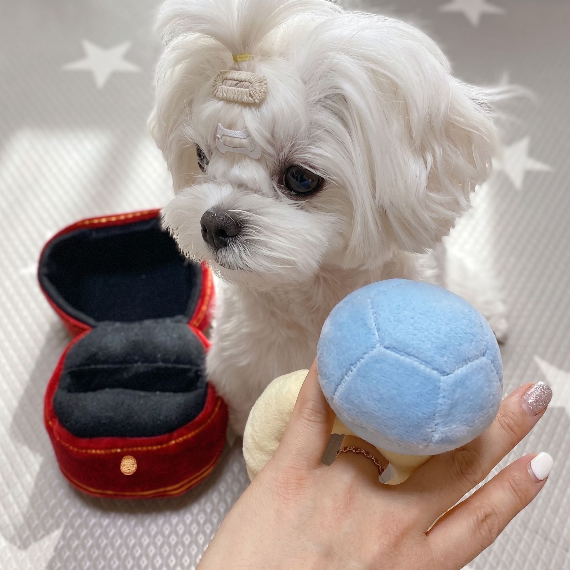 The Noble Ring — Diamond Dog Squeaky Toy