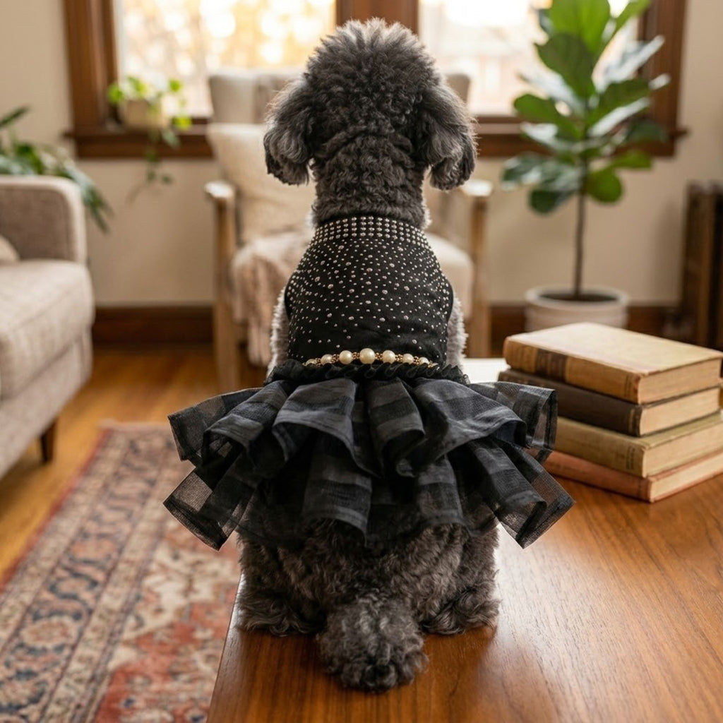 Black Princess Wedding Dress for Dogs | Luxury Skirt