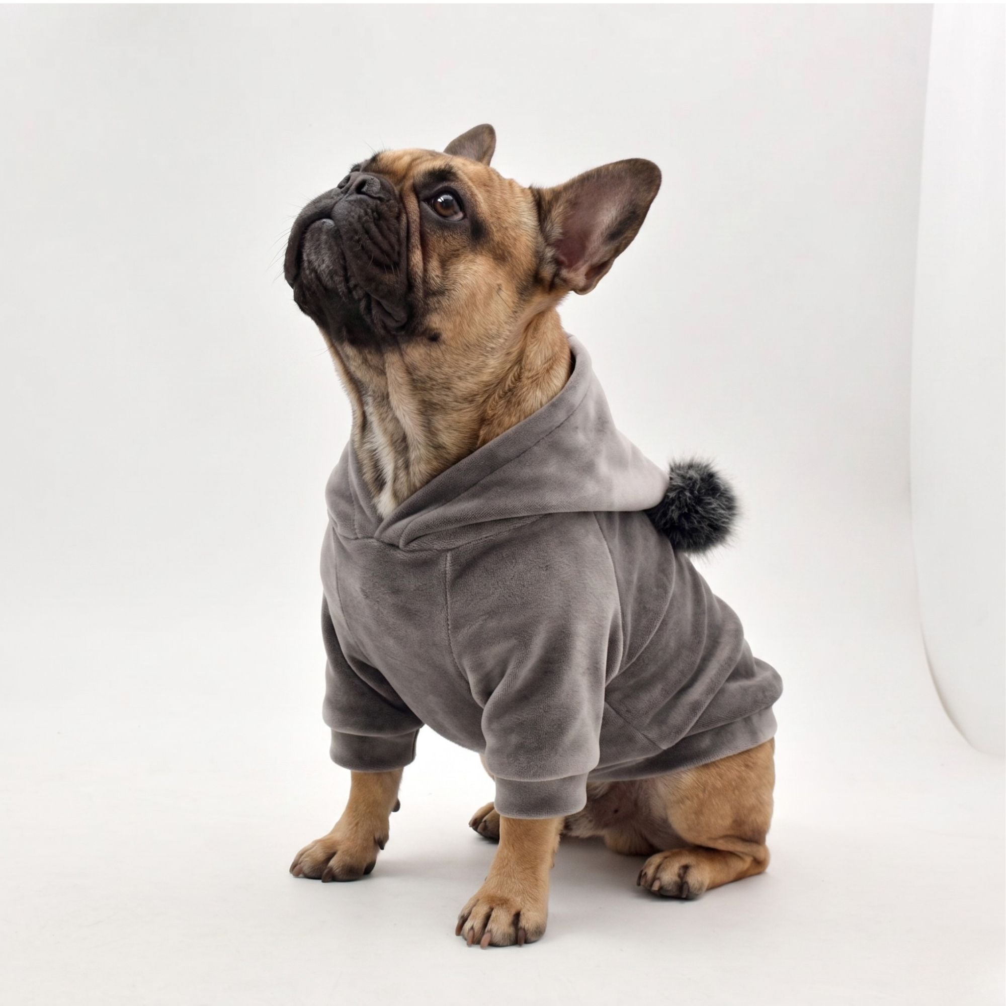 The Noble Pompom Coat — Luxury Winter Dog Jacket