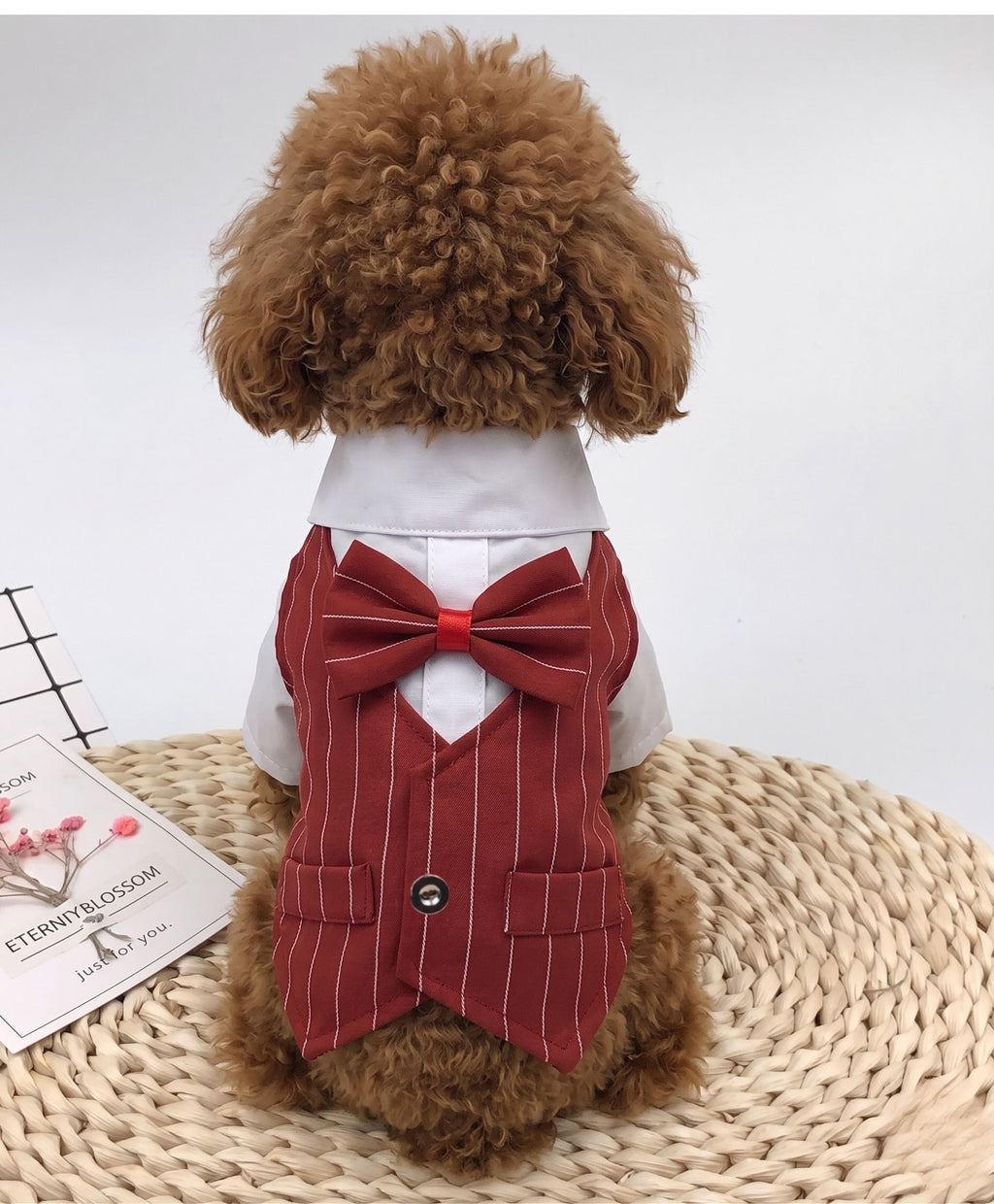 The Noble Stripe Suit — Luxury Dog Tuxedo