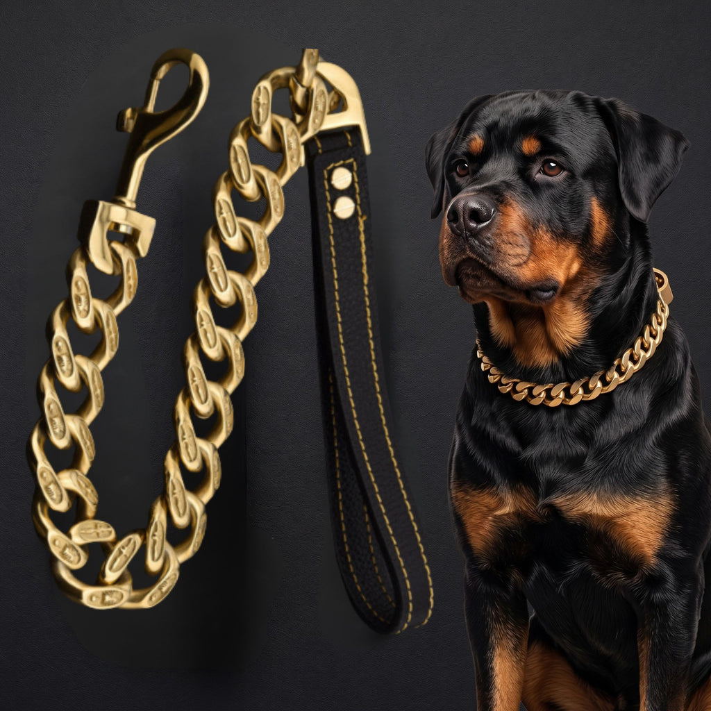 The Noble Bully Leash — Luxury 32MM Gold Chain Dog Leash