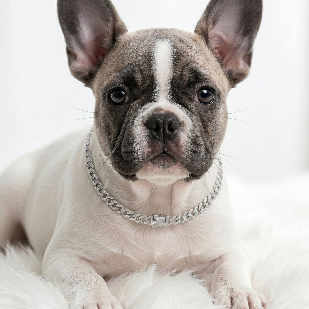 Luxury Diamond Cuban Link Dog Collar – Gold & Silver