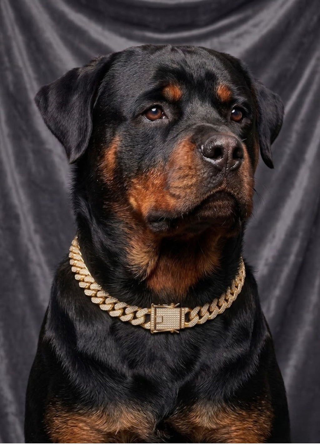 Luxury Diamond Cuban Link Dog Collar – Gold & Silver
