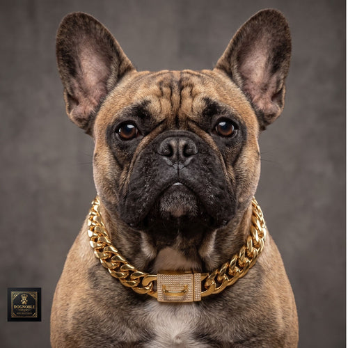 The Noble Chain Collar — Luxury Gold Cuban Link Dog Collar