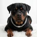 Luxury Diamond Cuban Link Dog Collar – Gold & Silver